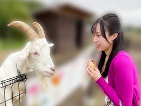 いつでもどこでも人妻オナホ したがり温泉旅行 藤原真帆　サンプル画像03